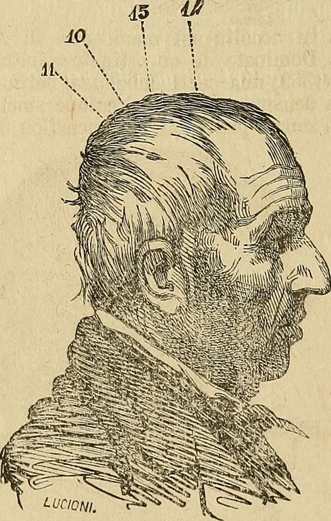 An illustration from Questioni filosofiche, sociali, mediche e medico-forensi : trattate coi principii della fisiologia del cervello / pel Dottore Biagio G. Miraglia., 1883, leaf 448