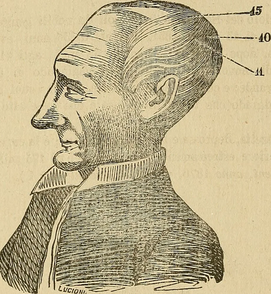 An illustration from Questioni filosofiche, sociali, mediche e medico-forensi : trattate coi principii della fisiologia del cervello / pel Dottore Biagio G. Miraglia., 1883, leaf 450