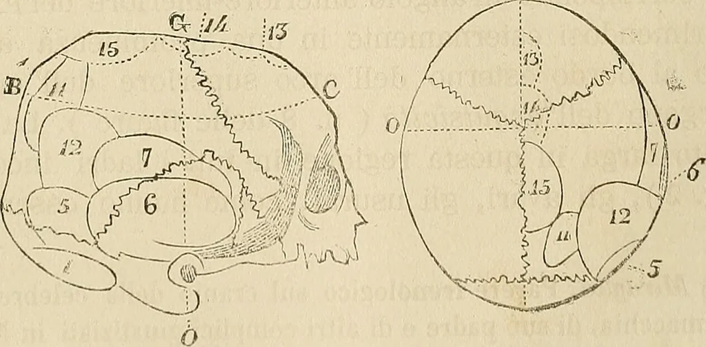 An illustration from Questioni filosofiche, sociali, mediche e medico-forensi : trattate coi principii della fisiologia del cervello / pel Dottore Biagio G. Miraglia., 1883, leaf 96