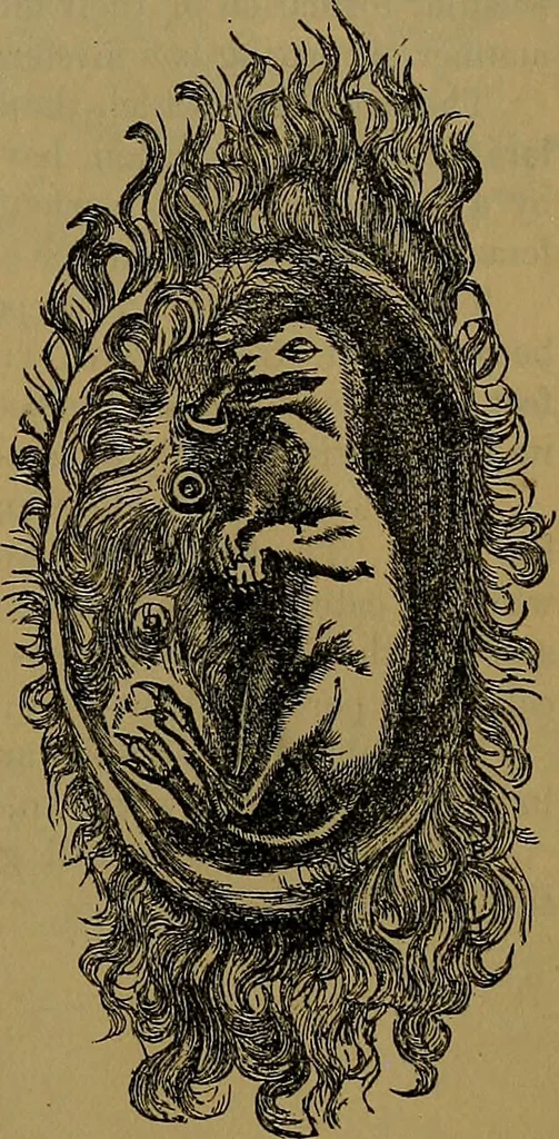An illustration from The origin of life and process of reproduction in plants and animals : with the anatomy and physiology of the human generative system, male and female, and the causes, prevention and cure of the special diseases to which it is liable : a plain, practical treatise, for popular use / by Dr. F. Hollick ; illustrated by engravings and colored plates., 1902, leaf 327