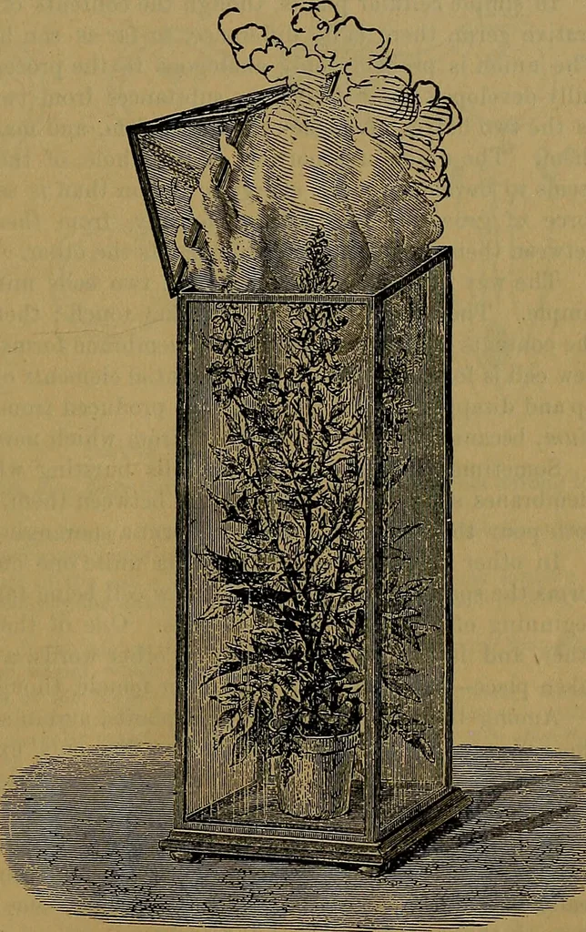 An illustration from The origin of life and process of reproduction in plants and animals : with the anatomy and physiology of the human generative system, male and female, and the causes, prevention and cure of the special diseases to which it is liable : a plain, practical treatise, for popular use / by Dr. F. Hollick ; illustrated by engravings and colored plates., 1902, leaf 349