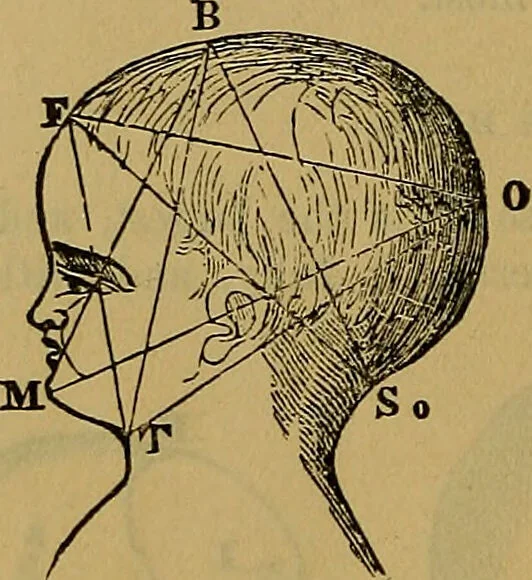 An illustration from The origin of life and process of reproduction in plants and animals : with the anatomy and physiology of the human generative system, male and female, and the causes, prevention and cure of the special diseases to which it is liable : a plain, practical treatise, for popular use / by Dr. F. Hollick ; illustrated by engravings and colored plates., 1902, leaf 892