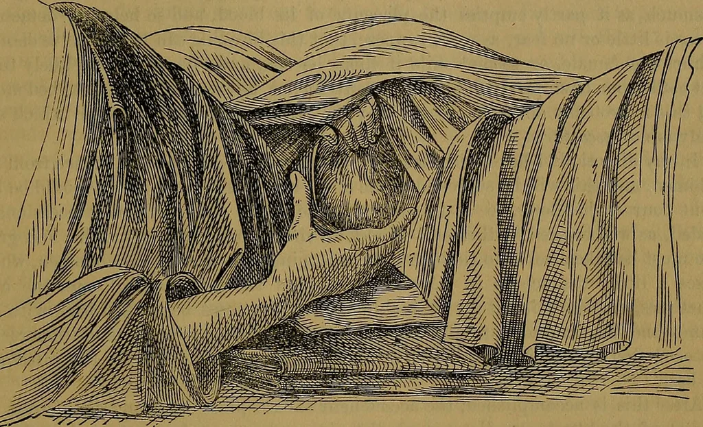 An illustration from The origin of life and process of reproduction in plants and animals : with the anatomy and physiology of the human generative system, male and female, and the causes, prevention and cure of the special diseases to which it is liable : a plain, practical treatise, for popular use / by Dr. F. Hollick ; illustrated by engravings and colored plates., 1902, leaf 931