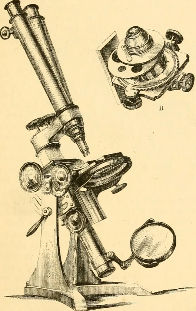 An illustration from The microscope : its history, construction, and application, being a familiar introduction to the use of the instrument, and the study of microscopial science / By Jabez Hogg ... with upwards of five hundred engravings and coloured illustrations by Tuffen West., 1867, leaf 105
