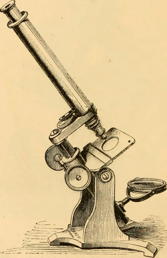 An illustration from The microscope : its history, construction, and application, being a familiar introduction to the use of the instrument, and the study of microscopial science / By Jabez Hogg ... with upwards of five hundred engravings and coloured illustrations by Tuffen West., 1867, leaf 114