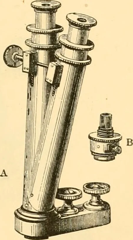 An illustration from The microscope : its history, construction, and application, being a familiar introduction to the use of the instrument, and the study of microscopial science / By Jabez Hogg ... with upwards of five hundred engravings and coloured illustrations by Tuffen West., 1867, leaf 115