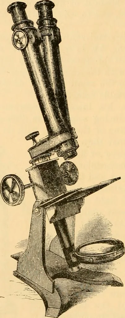 An illustration from The microscope : its history, construction, and application, being a familiar introduction to the use of the instrument, and the study of microscopial science / By Jabez Hogg ... with upwards of five hundred engravings and coloured illustrations by Tuffen West., 1867, leaf 116