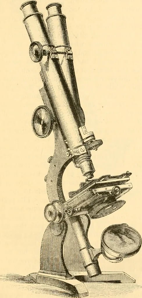 An illustration from The microscope : its history, construction, and application, being a familiar introduction to the use of the instrument, and the study of microscopial science / By Jabez Hogg ... with upwards of five hundred engravings and coloured illustrations by Tuffen West., 1867, leaf 117