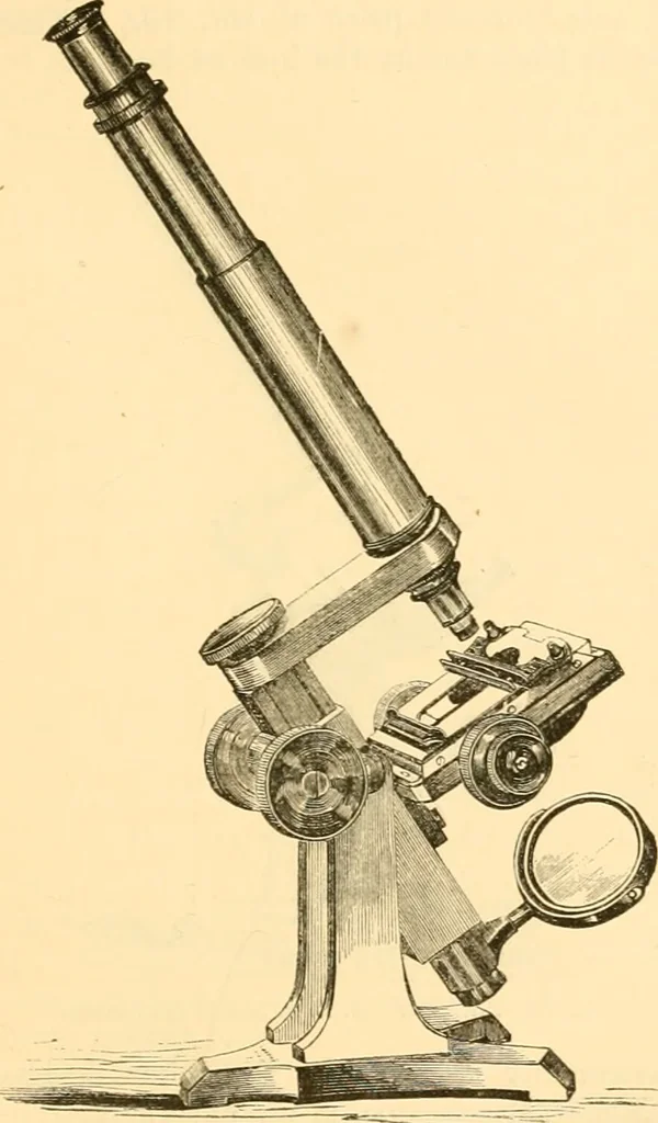 An illustration from The microscope : its history, construction, and application, being a familiar introduction to the use of the instrument, and the study of microscopial science / By Jabez Hogg ... with upwards of five hundred engravings and coloured illustrations by Tuffen West., 1867, leaf 119