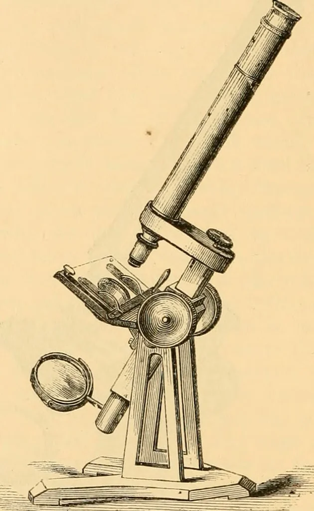 An illustration from The microscope : its history, construction, and application, being a familiar introduction to the use of the instrument, and the study of microscopial science / By Jabez Hogg ... with upwards of five hundred engravings and coloured illustrations by Tuffen West., 1867, leaf 120