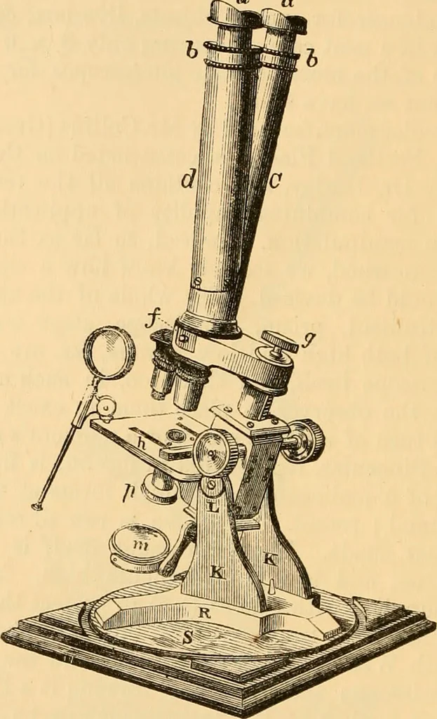 An illustration from The microscope : its history, construction, and application, being a familiar introduction to the use of the instrument, and the study of microscopial science / By Jabez Hogg ... with upwards of five hundred engravings and coloured illustrations by Tuffen West., 1867, leaf 122