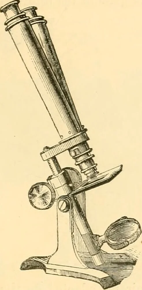 An illustration from The microscope : its history, construction, and application, being a familiar introduction to the use of the instrument, and the study of microscopial science / By Jabez Hogg ... with upwards of five hundred engravings and coloured illustrations by Tuffen West., 1867, leaf 123
