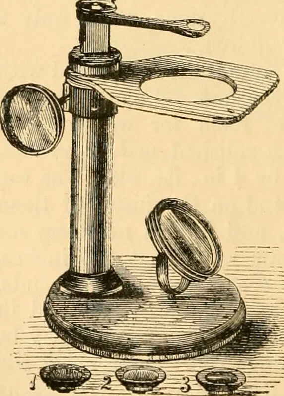 An illustration from The microscope : its history, construction, and application, being a familiar introduction to the use of the instrument, and the study of microscopial science / By Jabez Hogg ... with upwards of five hundred engravings and coloured illustrations by Tuffen West., 1867, leaf 124