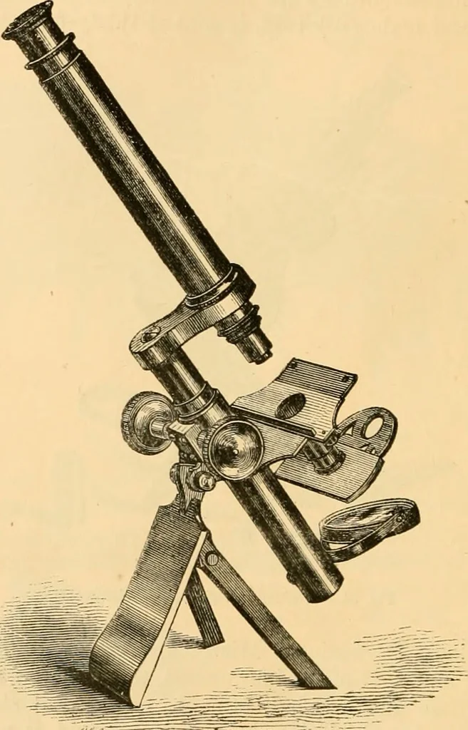 An illustration from The microscope : its history, construction, and application, being a familiar introduction to the use of the instrument, and the study of microscopial science / By Jabez Hogg ... with upwards of five hundred engravings and coloured illustrations by Tuffen West., 1867, leaf 126