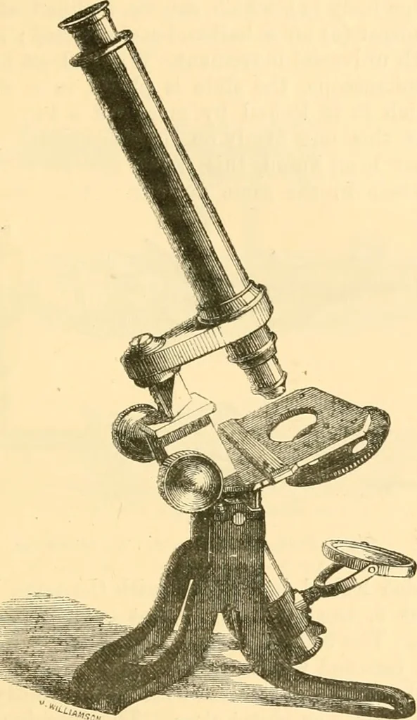 An illustration from The microscope : its history, construction, and application, being a familiar introduction to the use of the instrument, and the study of microscopial science / By Jabez Hogg ... with upwards of five hundred engravings and coloured illustrations by Tuffen West., 1867, leaf 129