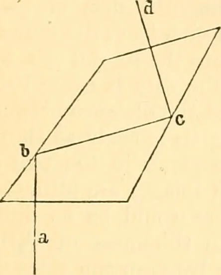 An illustration from The microscope : its history, construction, and application, being a familiar introduction to the use of the instrument, and the study of microscopial science / By Jabez Hogg ... with upwards of five hundred engravings and coloured illustrations by Tuffen West., 1867, leaf 143