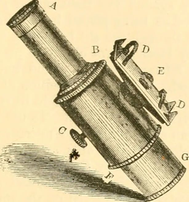 An illustration from The microscope : its history, construction, and application, being a familiar introduction to the use of the instrument, and the study of microscopial science / By Jabez Hogg ... with upwards of five hundred engravings and coloured illustrations by Tuffen West., 1867, leaf 149