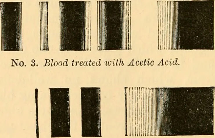 An illustration from The microscope : its history, construction, and application, being a familiar introduction to the use of the instrument, and the study of microscopial science / By Jabez Hogg ... with upwards of five hundred engravings and coloured illustrations by Tuffen West., 1867, leaf 154