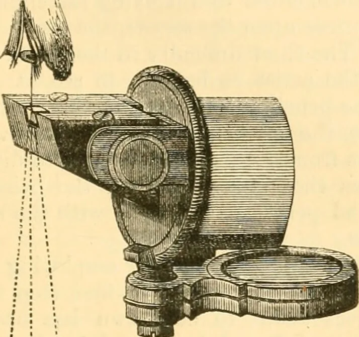An illustration from The microscope : its history, construction, and application, being a familiar introduction to the use of the instrument, and the study of microscopial science / By Jabez Hogg ... with upwards of five hundred engravings and coloured illustrations by Tuffen West., 1867, leaf 155
