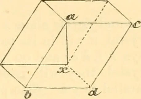 An illustration from The microscope : its history, construction, and application, being a familiar introduction to the use of the instrument, and the study of microscopial science / By Jabez Hogg ... with upwards of five hundred engravings and coloured illustrations by Tuffen West., 1867, leaf 161