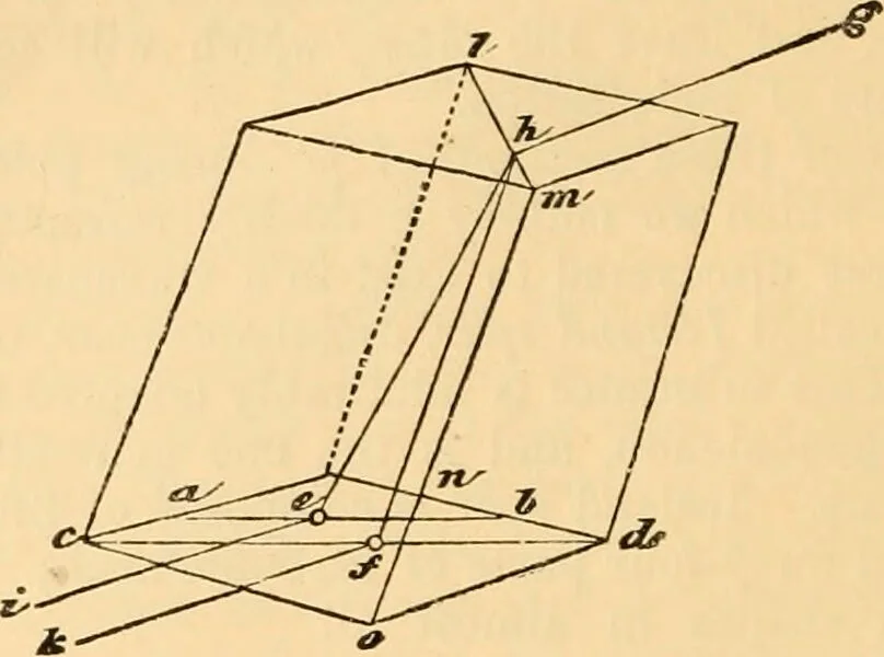 An illustration from The microscope : its history, construction, and application, being a familiar introduction to the use of the instrument, and the study of microscopial science / By Jabez Hogg ... with upwards of five hundred engravings and coloured illustrations by Tuffen West., 1867, leaf 162