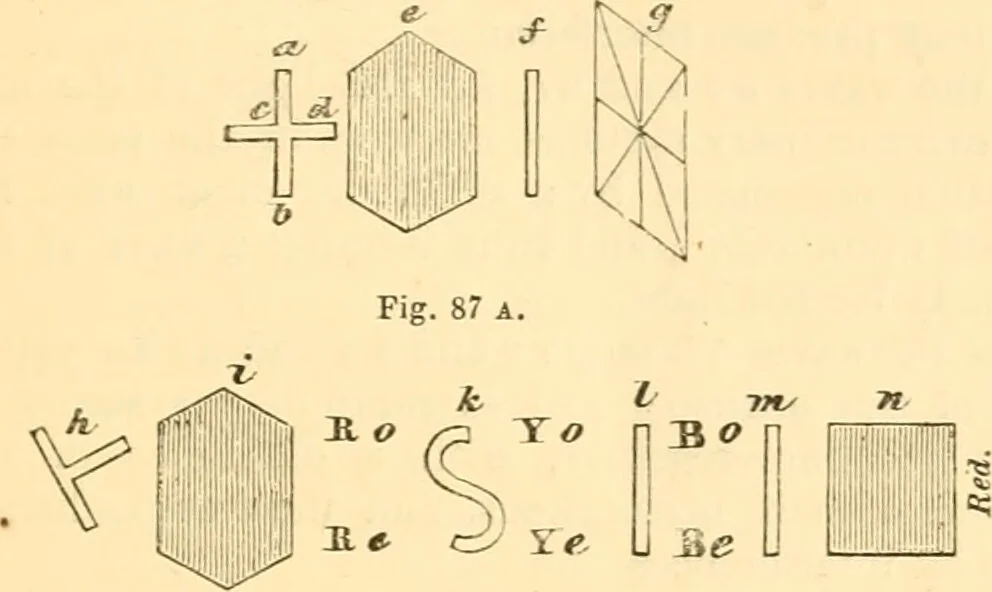 An illustration from The microscope : its history, construction, and application, being a familiar introduction to the use of the instrument, and the study of microscopial science / By Jabez Hogg ... with upwards of five hundred engravings and coloured illustrations by Tuffen West., 1867, leaf 165