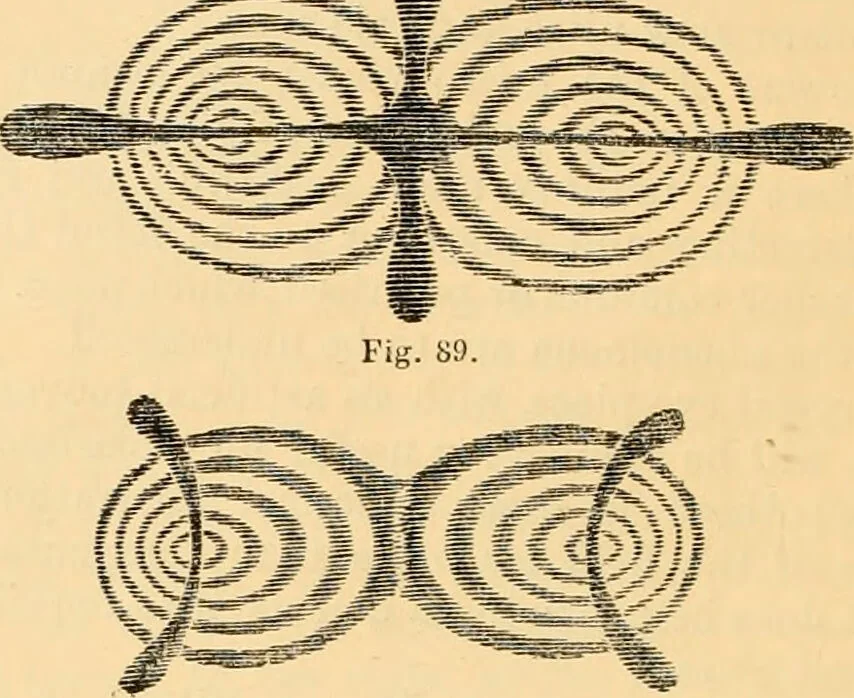 An illustration from The microscope : its history, construction, and application, being a familiar introduction to the use of the instrument, and the study of microscopial science / By Jabez Hogg ... with upwards of five hundred engravings and coloured illustrations by Tuffen West., 1867, leaf 174