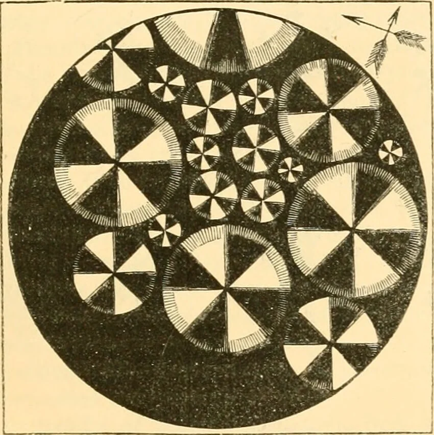 An illustration from The microscope : its history, construction, and application, being a familiar introduction to the use of the instrument, and the study of microscopial science / By Jabez Hogg ... with upwards of five hundred engravings and coloured illustrations by Tuffen West., 1867, leaf 177