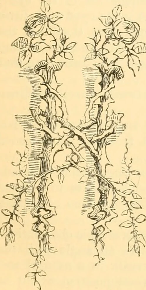 An illustration from The microscope : its history, construction, and application, being a familiar introduction to the use of the instrument, and the study of microscopial science / By Jabez Hogg ... with upwards of five hundred engravings and coloured illustrations by Tuffen West., 1867, leaf 185