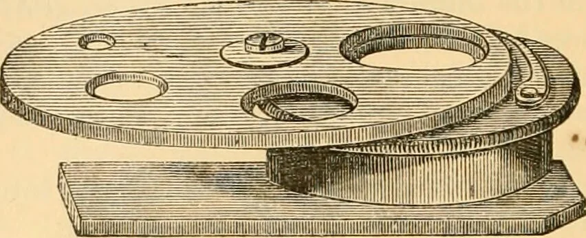 An illustration from The microscope : its history, construction, and application, being a familiar introduction to the use of the instrument, and the study of microscopial science / By Jabez Hogg ... with upwards of five hundred engravings and coloured illustrations by Tuffen West., 1867, leaf 188