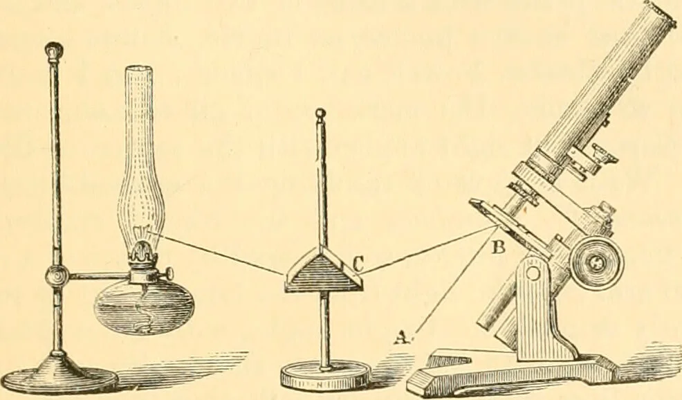 An illustration from The microscope : its history, construction, and application, being a familiar introduction to the use of the instrument, and the study of microscopial science / By Jabez Hogg ... with upwards of five hundred engravings and coloured illustrations by Tuffen West., 1867, leaf 201