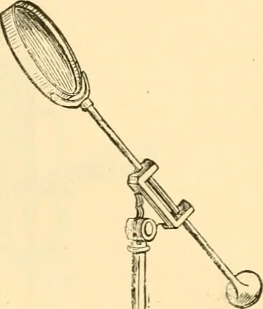 An illustration from The microscope : its history, construction, and application, being a familiar introduction to the use of the instrument, and the study of microscopial science / By Jabez Hogg ... with upwards of five hundred engravings and coloured illustrations by Tuffen West., 1867, leaf 209