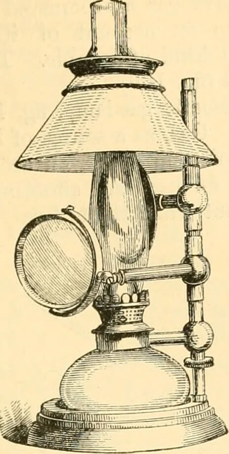 An illustration from The microscope : its history, construction, and application, being a familiar introduction to the use of the instrument, and the study of microscopial science / By Jabez Hogg ... with upwards of five hundred engravings and coloured illustrations by Tuffen West., 1867, leaf 211