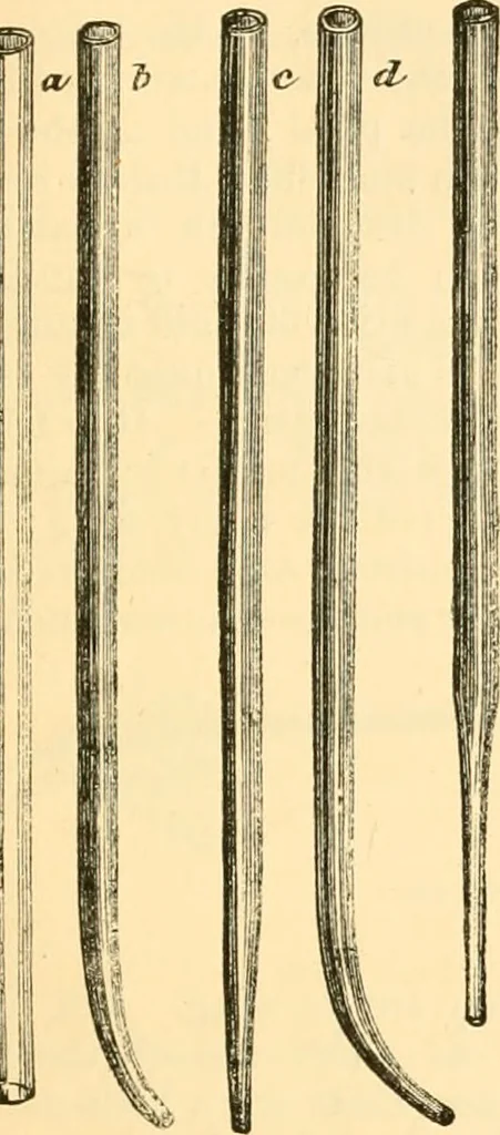 An illustration from The microscope : its history, construction, and application, being a familiar introduction to the use of the instrument, and the study of microscopial science / By Jabez Hogg ... with upwards of five hundred engravings and coloured illustrations by Tuffen West., 1867, leaf 217