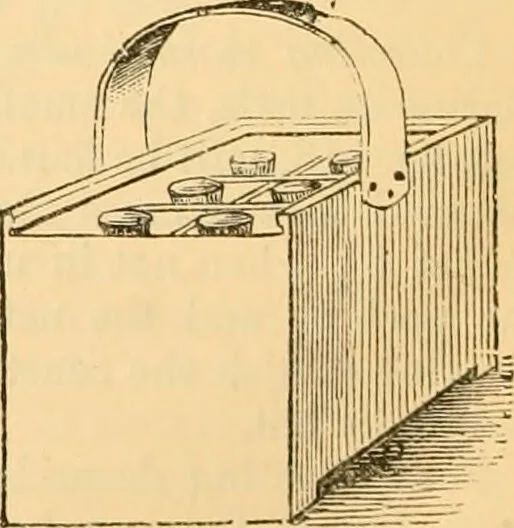 An illustration from The microscope : its history, construction, and application, being a familiar introduction to the use of the instrument, and the study of microscopial science / By Jabez Hogg ... with upwards of five hundred engravings and coloured illustrations by Tuffen West., 1867, leaf 220