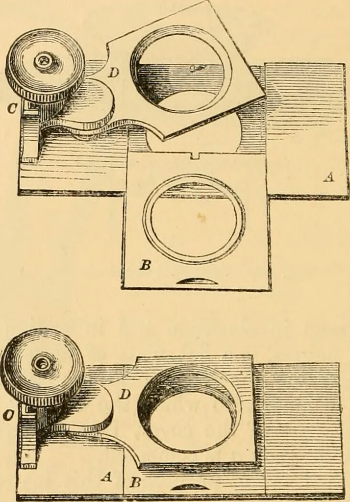 An illustration from The microscope : its history, construction, and application, being a familiar introduction to the use of the instrument, and the study of microscopial science / By Jabez Hogg ... with upwards of five hundred engravings and coloured illustrations by Tuffen West., 1867, leaf 222