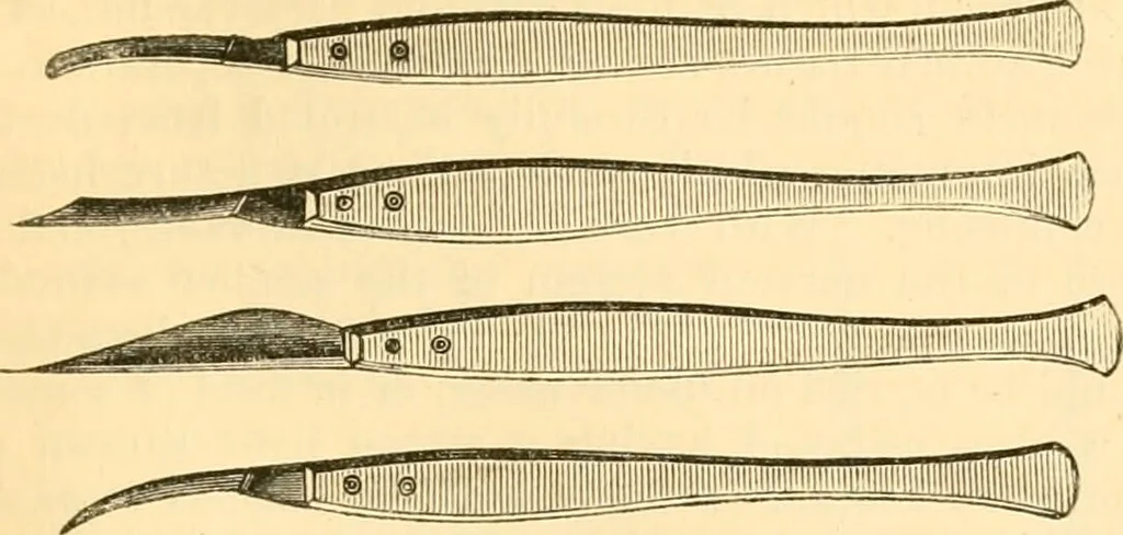 An illustration from The microscope : its history, construction, and application, being a familiar introduction to the use of the instrument, and the study of microscopial science / By Jabez Hogg ... with upwards of five hundred engravings and coloured illustrations by Tuffen West., 1867, leaf 225