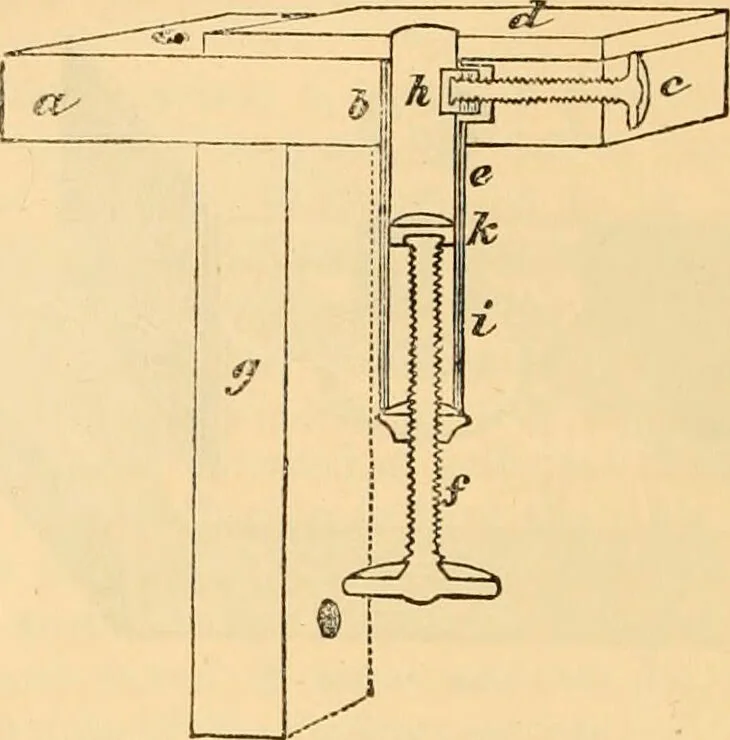 An illustration from The microscope : its history, construction, and application, being a familiar introduction to the use of the instrument, and the study of microscopial science / By Jabez Hogg ... with upwards of five hundred engravings and coloured illustrations by Tuffen West., 1867, leaf 232
