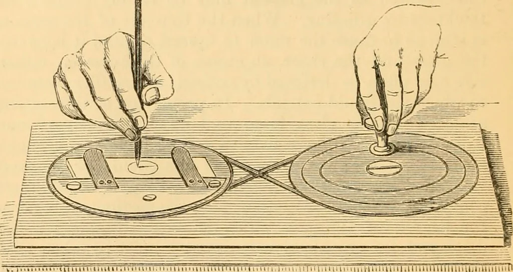 An illustration from The microscope : its history, construction, and application, being a familiar introduction to the use of the instrument, and the study of microscopial science / By Jabez Hogg ... with upwards of five hundred engravings and coloured illustrations by Tuffen West., 1867, leaf 238