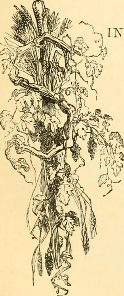 An illustration from The microscope : its history, construction, and application, being a familiar introduction to the use of the instrument, and the study of microscopial science / By Jabez Hogg ... with upwards of five hundred engravings and coloured illustrations by Tuffen West., 1867, leaf 283