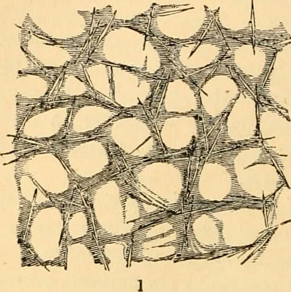 An illustration from The microscope : its history, construction, and application, being a familiar introduction to the use of the instrument, and the study of microscopial science / By Jabez Hogg ... with upwards of five hundred engravings and coloured illustrations by Tuffen West., 1867, leaf 418