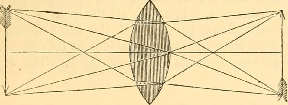 An illustration from The microscope : its history, construction, and application, being a familiar introduction to the use of the instrument, and the study of microscopial science / By Jabez Hogg ... with upwards of five hundred engravings and coloured illustrations by Tuffen West., 1867, leaf 47