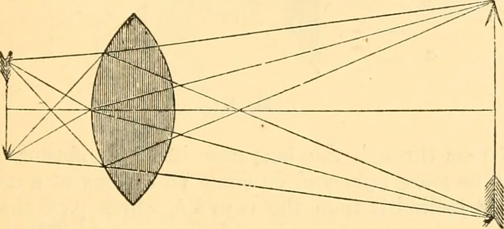 An illustration from The microscope : its history, construction, and application, being a familiar introduction to the use of the instrument, and the study of microscopial science / By Jabez Hogg ... with upwards of five hundred engravings and coloured illustrations by Tuffen West., 1867, leaf 47