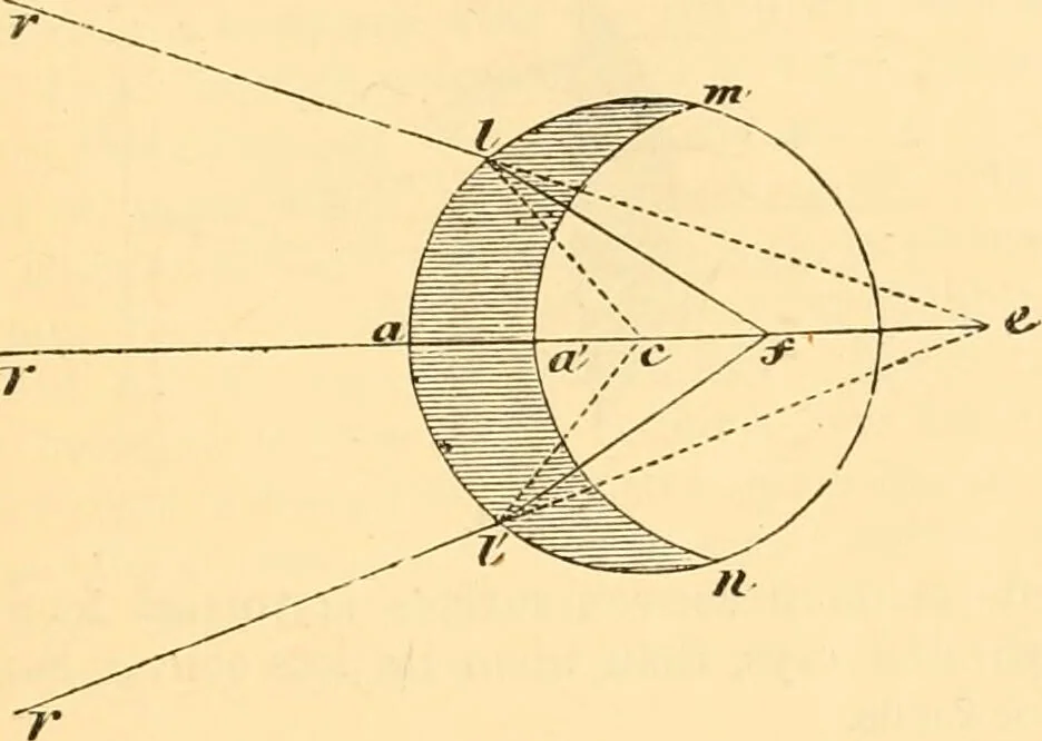 An illustration from The microscope : its history, construction, and application, being a familiar introduction to the use of the instrument, and the study of microscopial science / By Jabez Hogg ... with upwards of five hundred engravings and coloured illustrations by Tuffen West., 1867, leaf 51