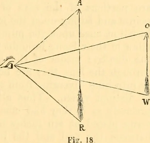 An illustration from The microscope : its history, construction, and application, being a familiar introduction to the use of the instrument, and the study of microscopial science / By Jabez Hogg ... with upwards of five hundred engravings and coloured illustrations by Tuffen West., 1867, leaf 55
