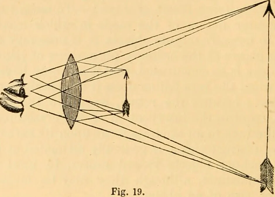 An illustration from The microscope : its history, construction, and application, being a familiar introduction to the use of the instrument, and the study of microscopial science / By Jabez Hogg ... with upwards of five hundred engravings and coloured illustrations by Tuffen West., 1867, leaf 56