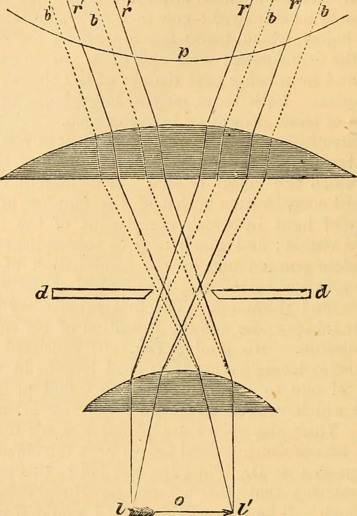 An illustration from The microscope : its history, construction, and application, being a familiar introduction to the use of the instrument, and the study of microscopial science / By Jabez Hogg ... with upwards of five hundred engravings and coloured illustrations by Tuffen West., 1867, leaf 58