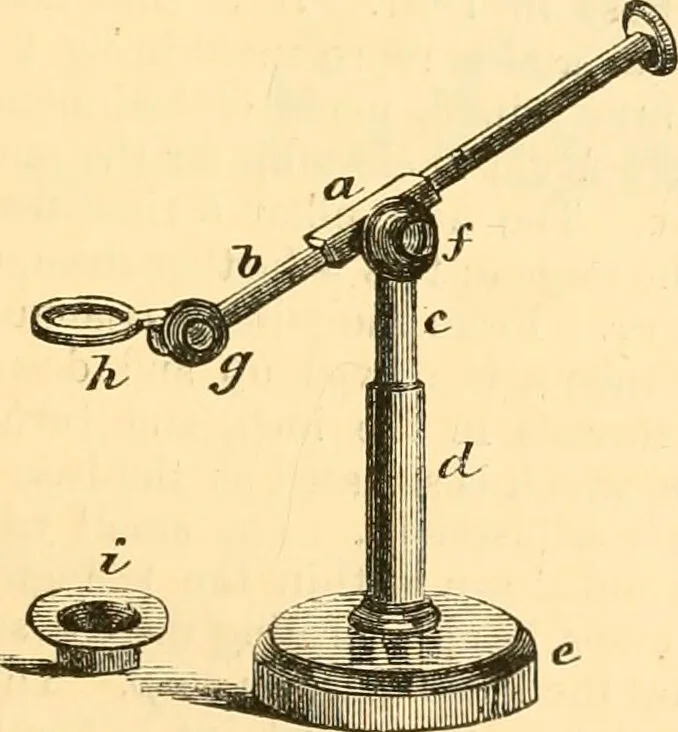 An illustration from The microscope : its history, construction, and application, being a familiar introduction to the use of the instrument, and the study of microscopial science / By Jabez Hogg ... with upwards of five hundred engravings and coloured illustrations by Tuffen West., 1867, leaf 61