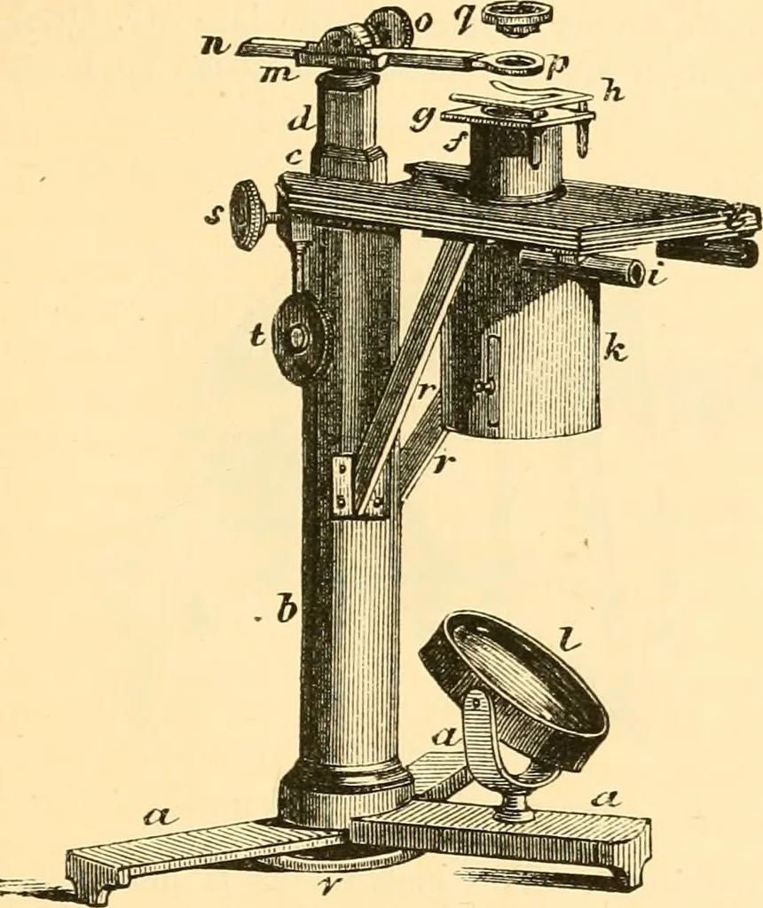 An illustration from The microscope : its history, construction, and application, being a familiar introduction to the use of the instrument, and the study of microscopial science / By Jabez Hogg ... with upwards of five hundred engravings and coloured illustrations by Tuffen West., 1867, leaf 63