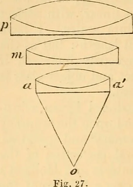 An illustration from The microscope : its history, construction, and application, being a familiar introduction to the use of the instrument, and the study of microscopial science / By Jabez Hogg ... with upwards of five hundred engravings and coloured illustrations by Tuffen West., 1867, leaf 68